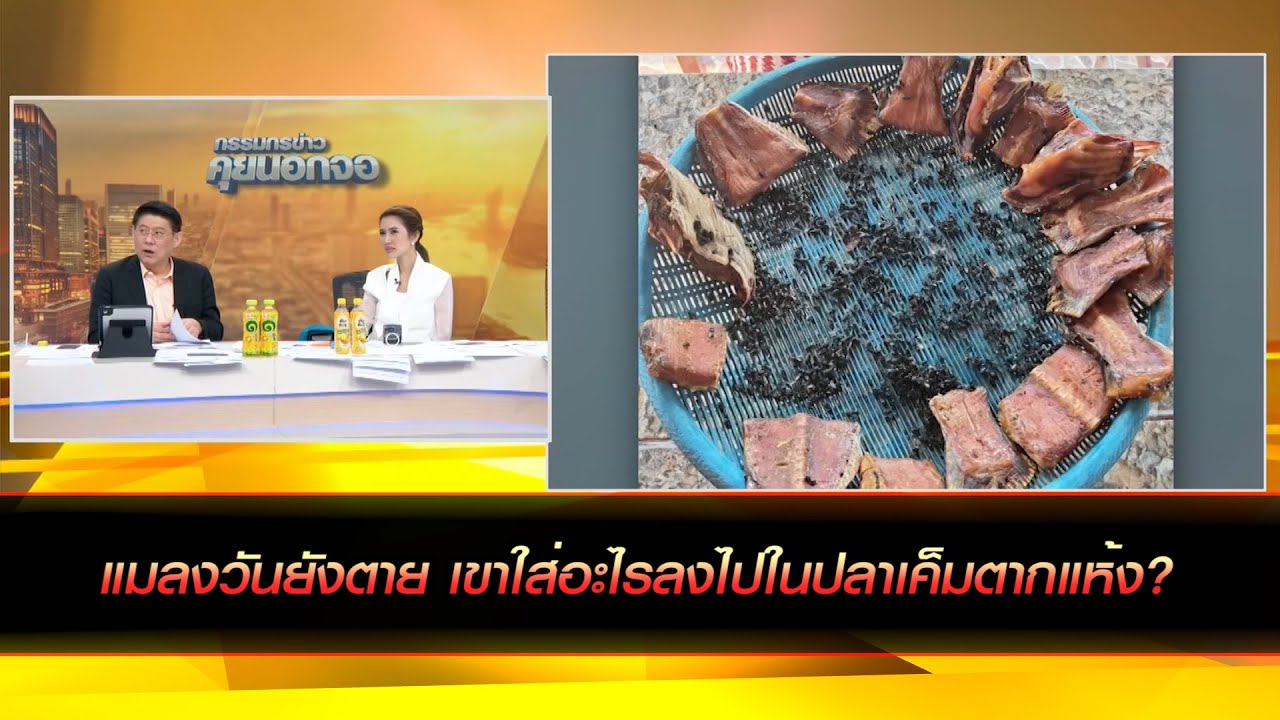 แมลงวันยังตาย เขาใส่อะไรลงไปในปลาเค็มตากแห้ง?