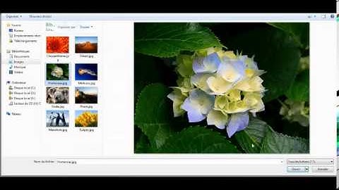 How to use the Netkite Open Innovation Platform