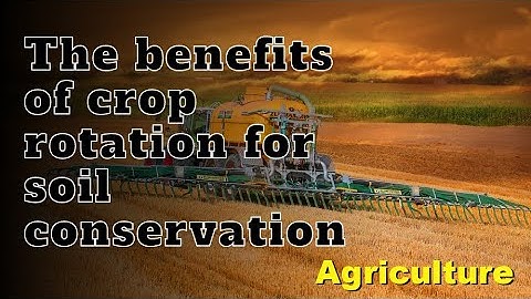 The Benefits of Crop Rotation for Soil Conservation
