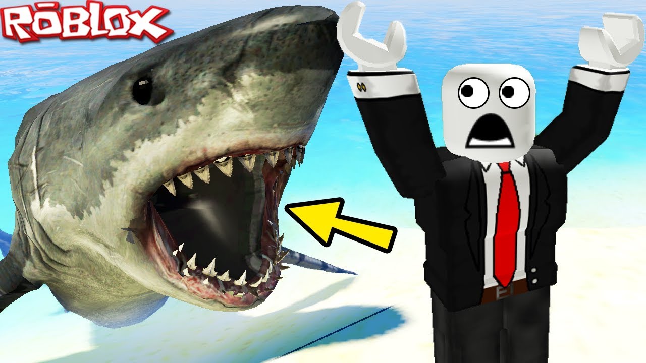 Jaws Shark Attack Roblox Jaws Movie Roblox Shark Attack Roblox Shark Bite Megalodon Shark - jaws games on roblox