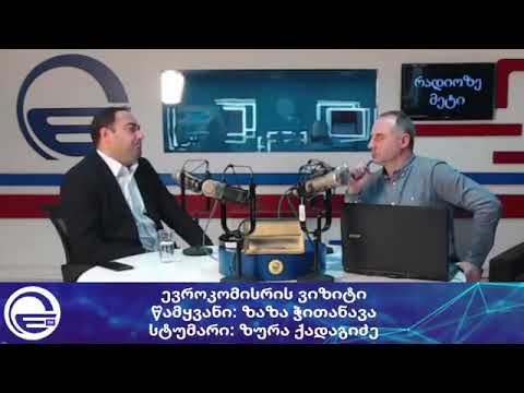 ევროკომისრის ვიზიტი/“დღის არხი“/“რადიო იმედი,Radio Imedi