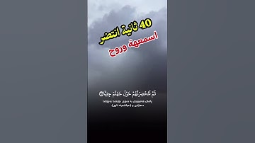 تلاوه نادرة من سورة مريم #القرآن_الكريم #اكسبلور #birds