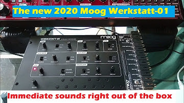 First impressions of the new Moog Werkstatt-01 analog synth | short demo (no talking, no effects)