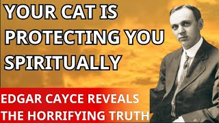 Unveiling the Mystical Power of Cats: Spiritual Guardians Through Time | Edgar Cayce