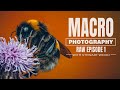 Macro Photography RAW - Episode 1 Tackeroo Pools