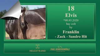 18 Elvis by Franklin - Zack - Sandro Hit