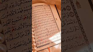 Surah Al Anam💚🕋🎙📖 Sheikh Ahmad Al Ajimi 💚masha Allah #surahalanam #quran #islam #muslim