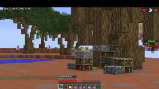 Hackers (PhanaticMC)