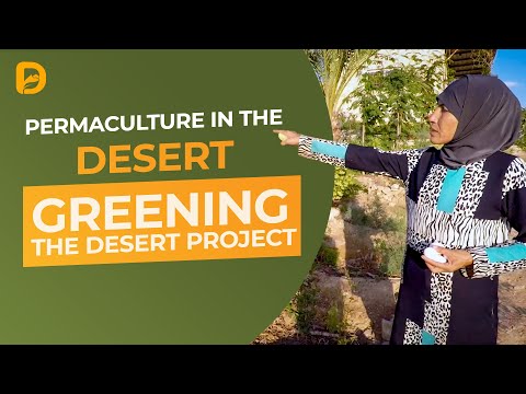 Permaculture in the Desert