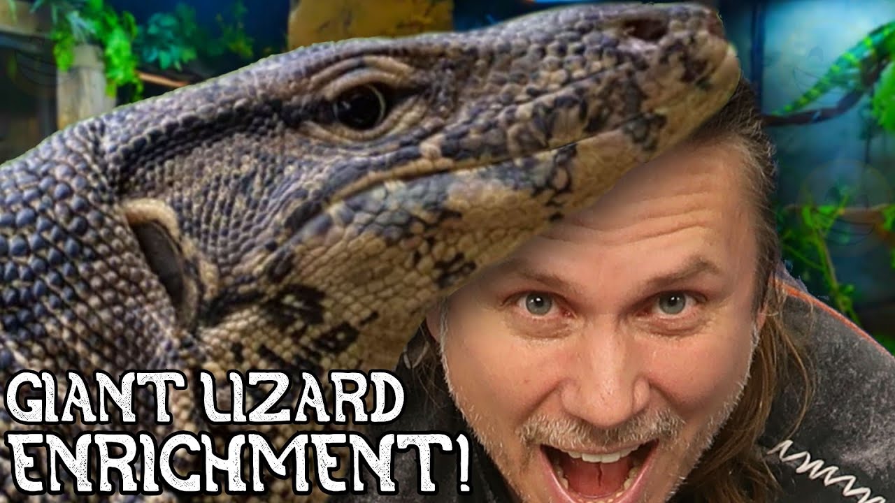 KEEPING MY GIANT PET LIZARD HAPPY! ENRICHMENT!! | BRIAN BARCZYK