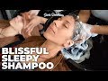 Blissful Sleepy Shampoo and Rinse with water and scratchy sounds - ASMR