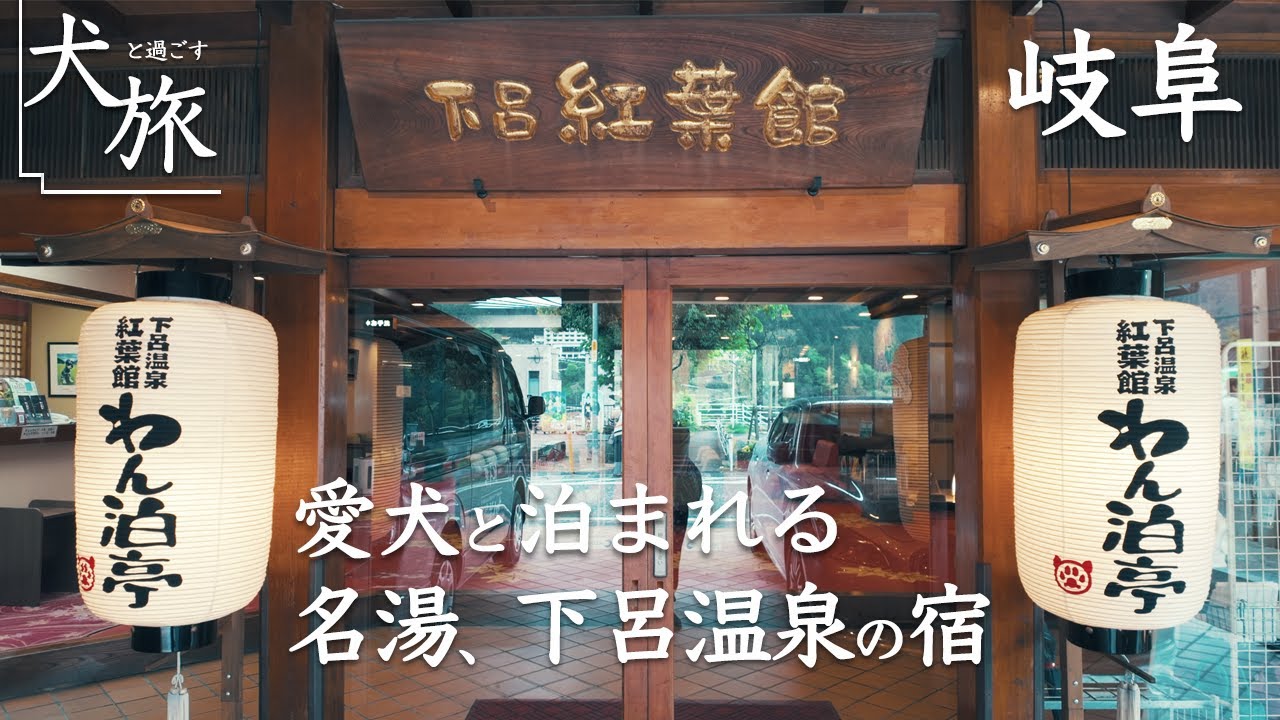 【わん泊亭｜岐阜｜下呂温泉】愛犬と泊まれる老舗旅館。食事も一緒に過ごせて温泉もお料理も大満足 ｜紅葉館