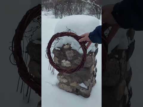 Венок из виноградной