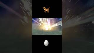 What the Pokedog doin? #gaming #nintendo #pokemon