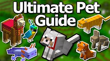 Ultimate Minecraft 1.21 Pet Mob Guide | How To Tame All Mobs Cat Wolf Parrot Llama Fox & More!