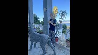 MATT OX - FREESTYLE IN ITALY GETTING HIGH