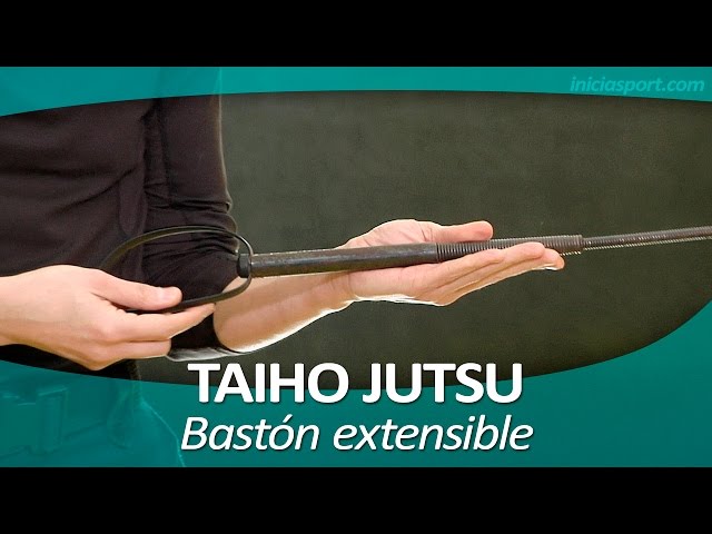 TAIHO JUTSU 16 (sistema japonés defensa personal policial