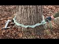 How to tie the timber hitch and set up a portawrap