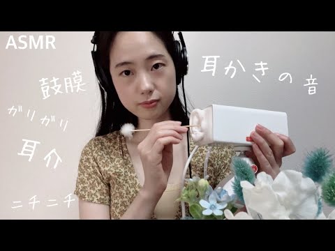 ASMR 刺激強めのガリガリ耳かき / ear cleaning (eardrum & earflap) 【SR3D】