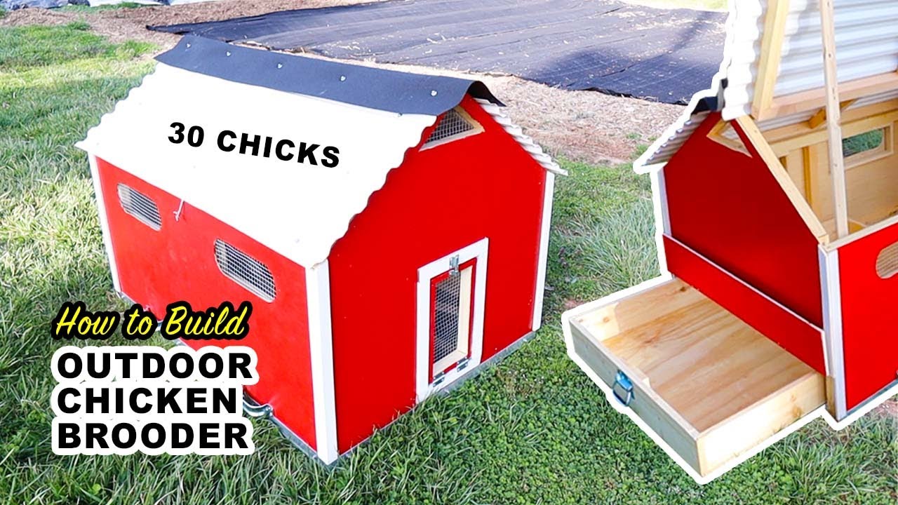 chick chicken brooder homemade