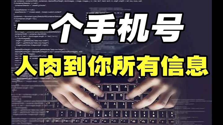 人肉產業鏈：我在神秘社工庫查到了老婆的開房記錄 | 大閑人賈白 - 天天要聞