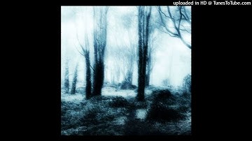 (FREE) LOOP KIT / SAMPLE PACK (DARK,AMBIENT,TRAVIS SCOTT,ASAP ROCKY,DON TOLIVER,FUTURE,SUPERTRAP)