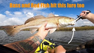 I CAUGHT A BASS IN SALTWATER ON A SHRIMP (Berkley Gulp Shrimp Fishing)