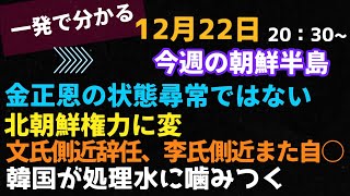 一発で分かる！今週の朝鮮半島(2021.12.22)李在明が文氏に戦争仕掛、文政権処理水に噛みつく、金正恩の状態が普通ではない、与正地位は何番