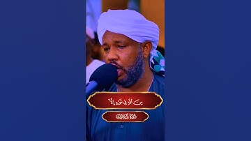 شيخ الزين محمد احمد تلاوه رائعه