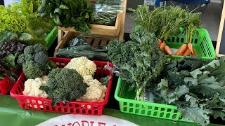 CSA/harvest basket series…week 6 harvest day…how much longer will I have spring crops