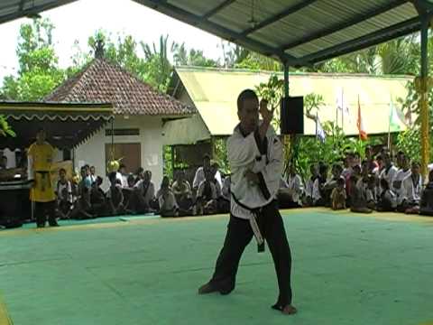 Ilmu Silat Naga Sakti - Perguruan Seruling Dewata ...