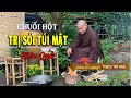 TRỊ SỎI TÚI MẬT hiệu quả với CHUỐI HỘT || TS. Lương Y. Thầy Thích Trí Huệ