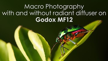 Macro Photography with and without radiant diffuser on Godox MF12
