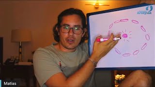 Day 281 HOME - Matias De Stefano - English Edit