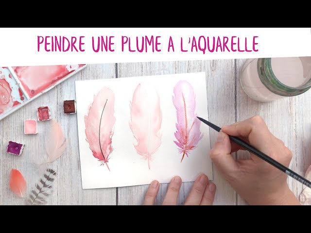 180 meilleures idées sur Plume  plume aquarelle, art de plume, plume