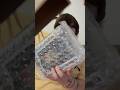 One Piece Wanted Poster Unboxing @OriginalFunko #funkopop #funko #onepiece #anime