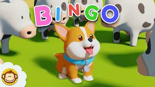Lagu Anak | BINGO 🐶 Anjing Periang | BaLiTa | Baba Lili Tata