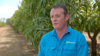 Paul Burke - CEO NT Farmers
