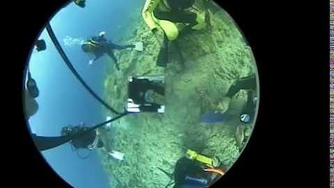 Catadioptric Cameras for 360 Degree Imaging: Scuba Diving in 360 degrees