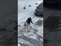 Woman hilariously slips on icy road