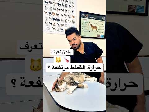 كيف تعرف ان حرارة القطط مرتفعة أقوى علامات الحمى عند القطط