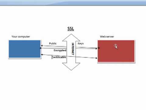 define ssl