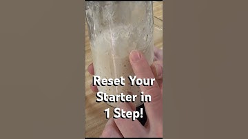 Sourdough Too Sour? Fix It with This Simple Trick!