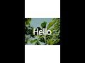 Hi Cheers!「Hello」#shorts