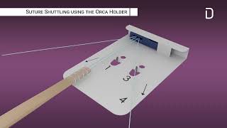 Orca FDL Tendon OPT Animation Crosssection