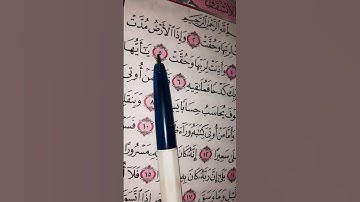 تلاوة قرانية جميله لسورة الانشقاق ♥اللهم اغفر لى واغننى بحلالك 🤲🏻 #quran #القرآن_الكريم #اكسبلور🌻🌷💖🌻