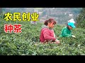 贵州大山一村民不怕辛苦，大胆励志创业带领村民种茶走向致富路【乡村阿泰】