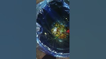 Maggots free in your garbage bin