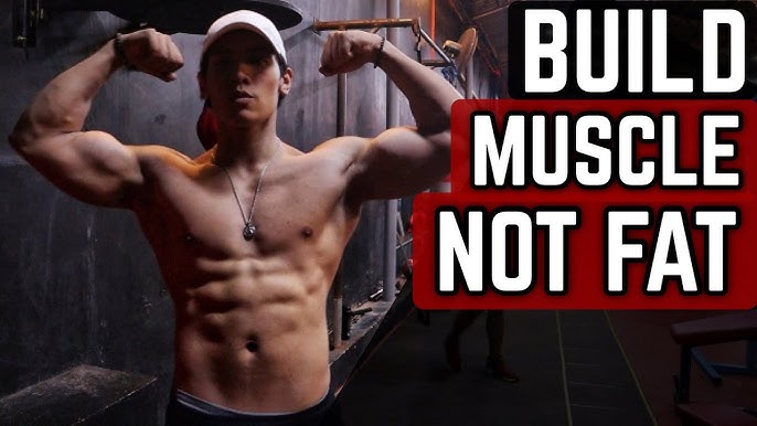 Bulking: How To Bulk (& Difference Between Clean & Dirty Bulk) - Tua Saúde