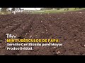 Minitubérculos de Papa: Semilla Certificada para Mayor Productividad - TvAgro por Juan Gonzalo Angel